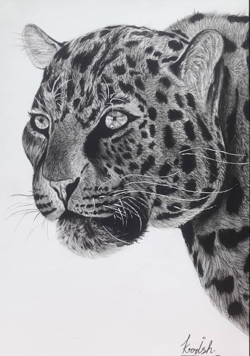 Realistic jaguar